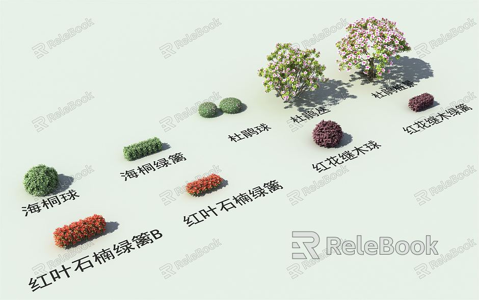 Modern Shrub Landscape Plant Small Shrub model