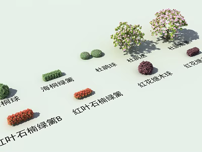 Different Types of Ornamental Shrubs for Landscaping Including Hedges and Balls 3d model
