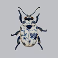 Artistic White Ceramic Beetle With Blue Pattern And Detailed Design
