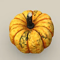 Fresh Healthy Pumpkin Vegetable With Vibrant Orange Yellow Color And Green Spots Natural Texture