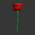 Vibrant Red Rose Plant with Green Stem and Fresh Leaves on Gray Background