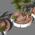 Modern Wooden Curved Landscape Seat With Palm Trees In Outdoor Area