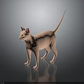 Pink Hairless Sphynx Cat Standing On Black Surface With Reflection And Grey Background