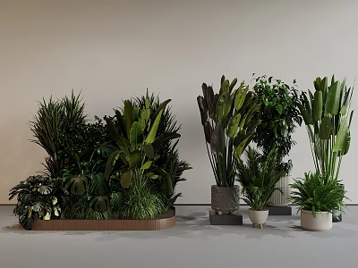 Assorted Indoor Green Plants In Different Pots For Modern Home Decor 3d model