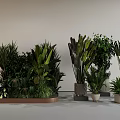 Assorted Indoor Green Plants In Different Pots For Modern Home Decor