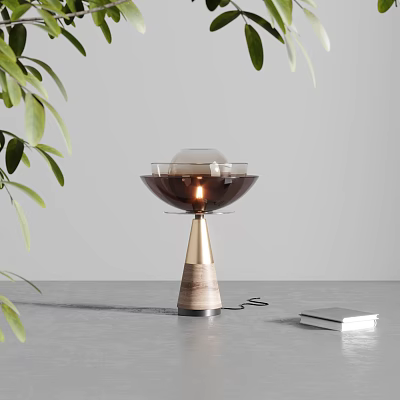 Modern Table Lamp With Spherical Glass Shade And Wooden Base Near Green Leaves 3d model
