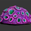 Vibrant Purple And Green Coral Hemispherical Shape With Textured Pores On Black Background