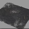 Burnt Ground Surface With Black Ash Dry Twigs And White Spots 3d model