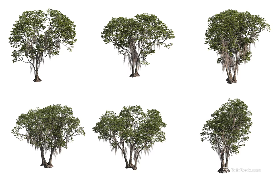 Lush Green Leaf Trees With Thick Trunks Hanging Roots And Various Natural Shapes 3d model 