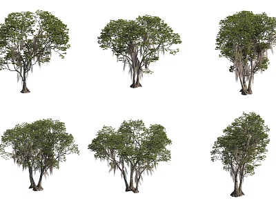 Lush Green Leaf Trees With Thick Trunks Hanging Roots And Various Natural Shapes 3d model