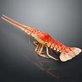 Red And White Lobster With Long Antennae On Dark Background With Reflection 3d model
