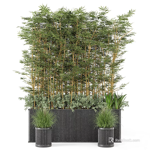 Bamboo And Green Potted Plants In Black Planters For Garden Decor 3d model 