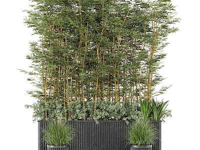 Bamboo And Green Potted Plants In Black Planters For Garden Decor 3d model