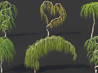 Diverse Arbor Tree Shapes With Heart Spiral Arching Branches And Green Foliage 3d model