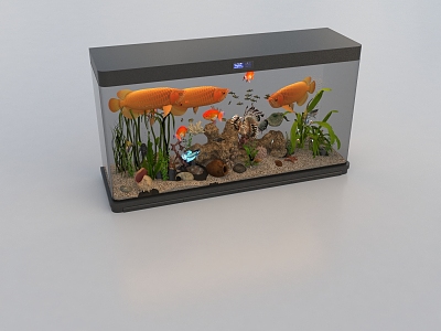 Modern fish tank 3d model