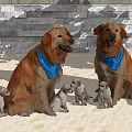 Brown Dogs With Blue Bandanas Sitting On Sand With Puppies And Stone Wall