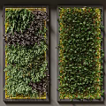 Indoor Living Plant Wall With Three Panels And Various Greenery Design
