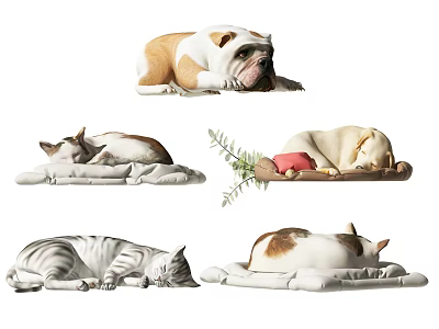 Reptile Creatures Resting Peacefully On Soft Mats With Green Plants And Warm Blankets 3d model