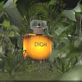 Dior Perfume in Lush Green Tropical Plants with Elegant Bottle and Natural Sunlight