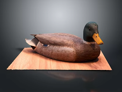Brown Duck with Yellow Beak and Black Head on Wooden Board against Gray Background 3d model