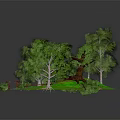 Natural Landscape Scene With Lush Green Trees Grassy Area Small Bridge And Stream