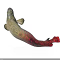 Vibrant Mythical Animal With Scaly Body And Red Fish Tail On White Background