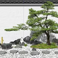 Japanese Karesansui Rock Garden with White Gravel Rocks Pine Tree Moss and Waterfall