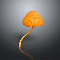 Orange Mushroom Plant With Curved Stem And Ribbed Cap On Gray Gradient Background With Reflection