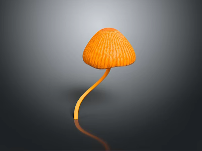 Orange Mushroom Plant With Curved Stem And Ribbed Cap On Gray Gradient Background With Reflection 3d model
