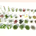 Diverse Collection of Colorful Flowers and Green Grasses with Various Shapes and Vibrant Blooms