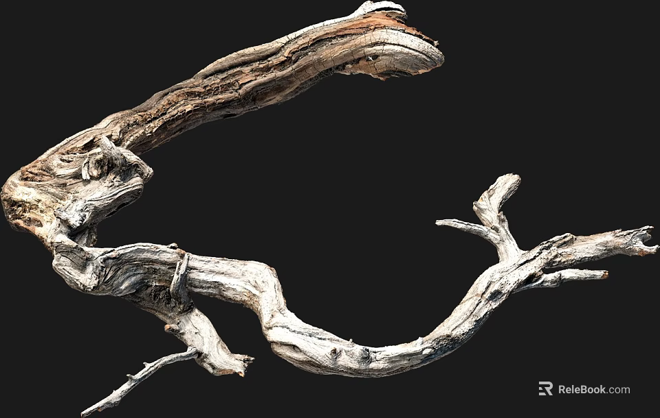 Natural Wood Branches With Twisted Shape And Rough Organic Texture Design 3d model 
