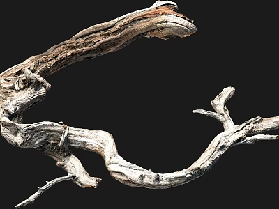Natural Wood Branches With Twisted Shape And Rough Organic Texture Design 3d model