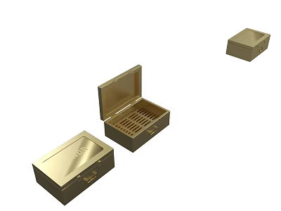 Golden Storage Boxes With Open Compartmentalized Case And Closed Containers 3d model