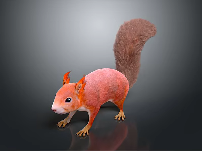 Animated Red Squirrel Game Character With Fluffy Tail And Orange Ears 3d model