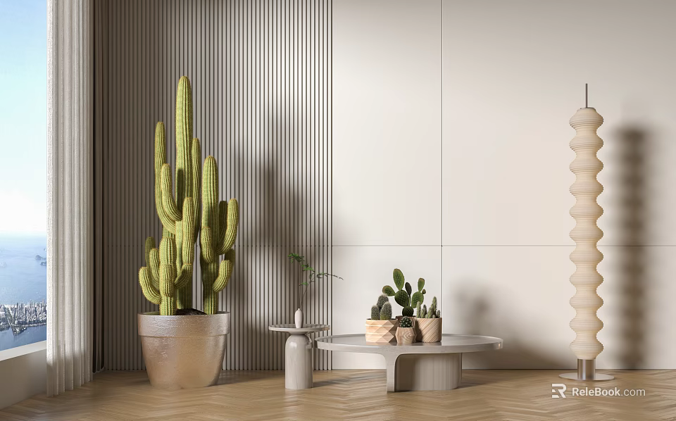 Modern Indoor Cactus And Succulent Potted Plants With Striped Wall And Floor Lamp 3d model 