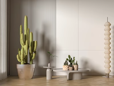 Modern Indoor Cactus And Succulent Potted Plants With Striped Wall And Floor Lamp 3d model