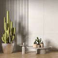 Modern Indoor Cactus And Succulent Potted Plants With Striped Wall And Floor Lamp