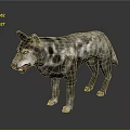 3D Render Of Gray And White Spotted Wolf With Open Mouth Standing On Dark Background