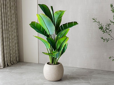 modern green plant potted plant 3d model