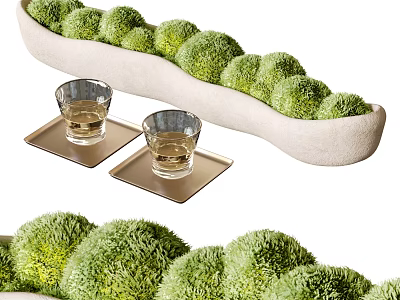 Green Round Bonsai Potted Plants in White Long Container with Glass Cups on Coasters 3d model