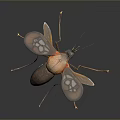 Detailed Mosquito Insect With Transparent Patterned Wings Orange Brown Body And Long Slender Legs
