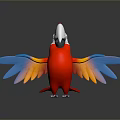 Colorful Red Parrot With Blue And Yellow Spread Wings Standing With Reflection On Dark Surface