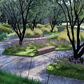 Tranquil Park Landscape With Stone Path Stepping Stones Lush Greenery And Colorful Flowers