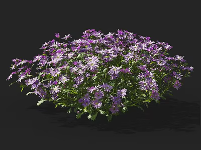 Vibrant Purple Flowers in a Lush Green Bush with Fresh Petals 3d model
