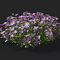 Vibrant Purple Flowers in a Lush Green Bush with Fresh Petals