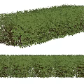 Lush Green Well Trimmed Garden Hedge With Dense Foliage And Neat Shape