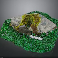 Natural Moss Covered Stone Surrounded by Green Plants and Ruler