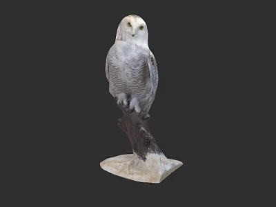 Snowy Owl Perched On Wooden Branch With White Base 3d model