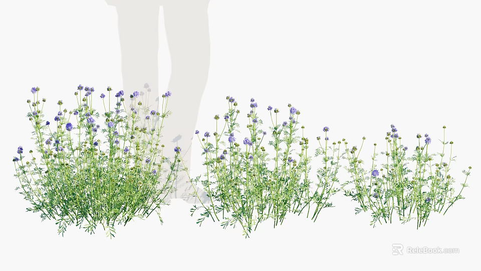 Purple Small Flowers Naturally Growing With Green Stems And Leaves Outdoor 3d model 