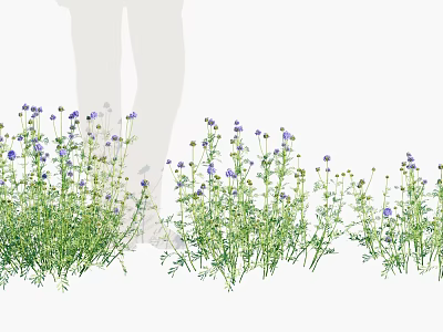 Purple Small Flowers Naturally Growing With Green Stems And Leaves Outdoor 3d model